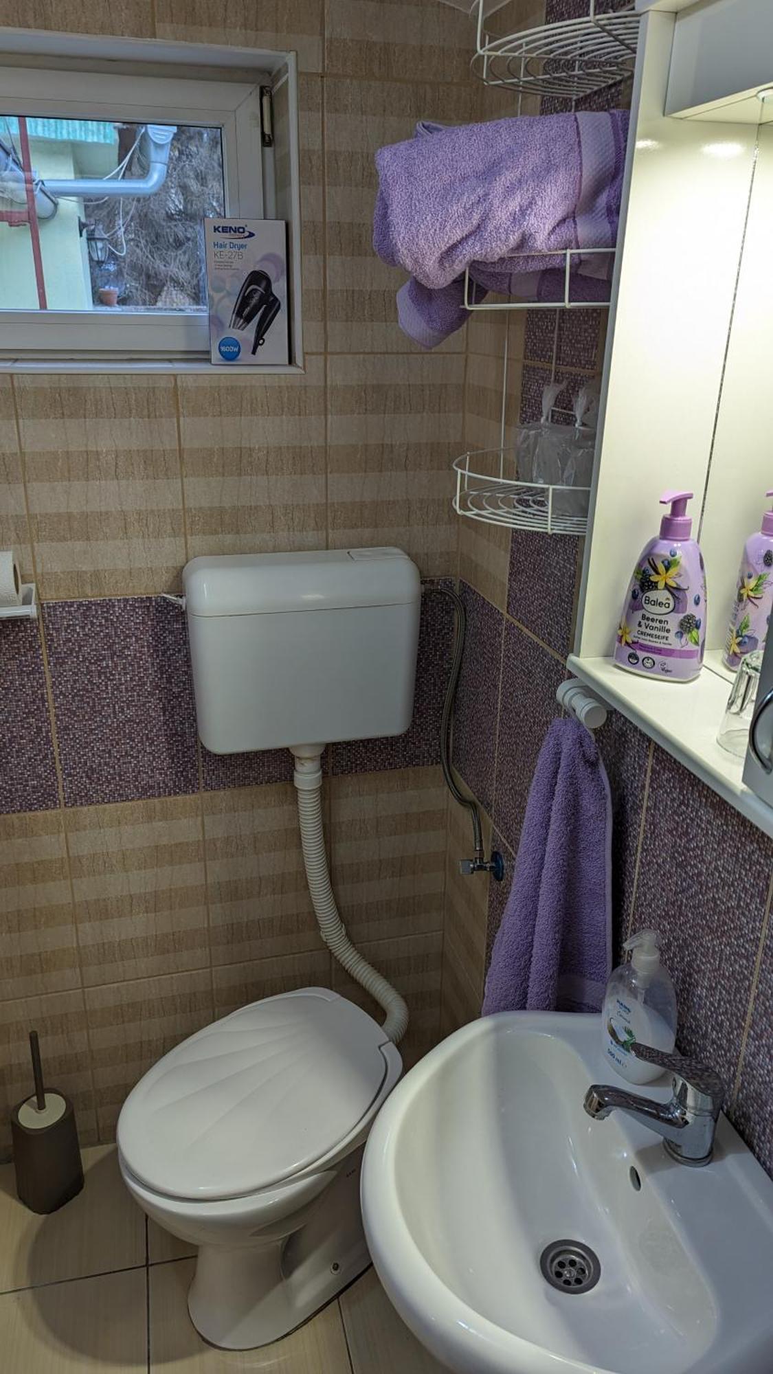 A&M Apartmani Subotica Rom bilde